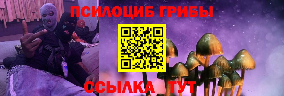 купить закладку  Галлюциногенные грибы MAGIC MUSHROOMS  Вход с VPN  Кемерово 